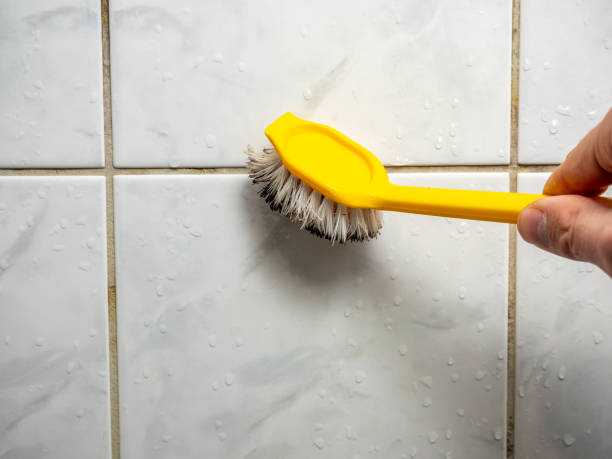 Trusted South Monrovia Island, CA Mold Removal Experts