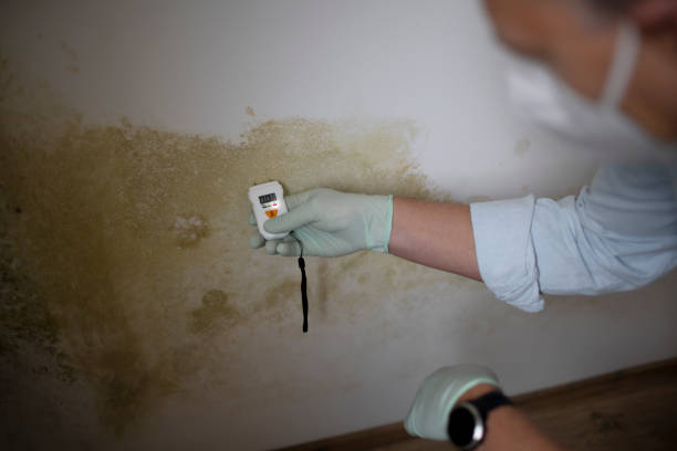 Best Mold Testing  in South Monrovia Island, CA