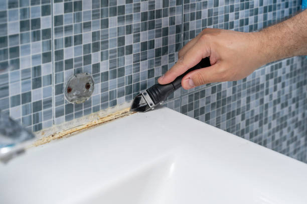 Best Local Mold Removal Service  in South Monrovia Island, CA