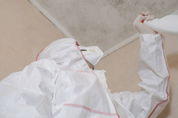 Best Certified Mold Removal  in South Monrovia Island, CA