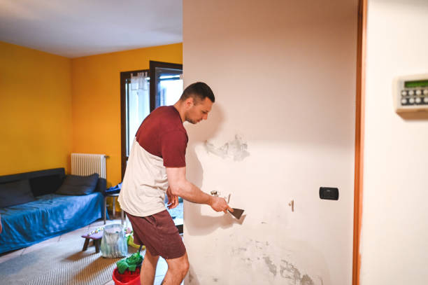 Best Professional Mold Removal  in South Monrovia Island, CA