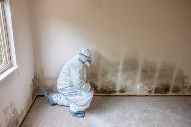 Best Crawl Space Mold Removal  in South Monrovia Island, CA